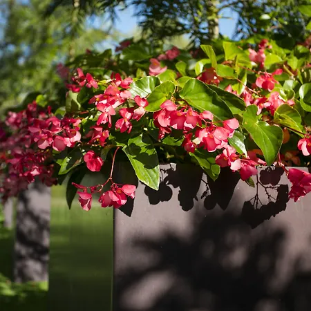 Desitges Готель 4*