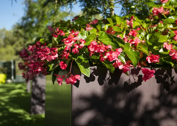 Desitges Отель 4*